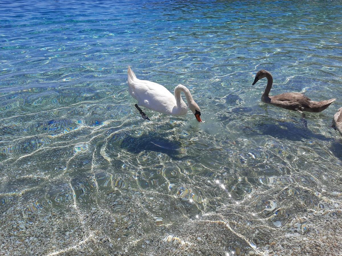 Andros Eco Home Gavrio Bagian luar foto