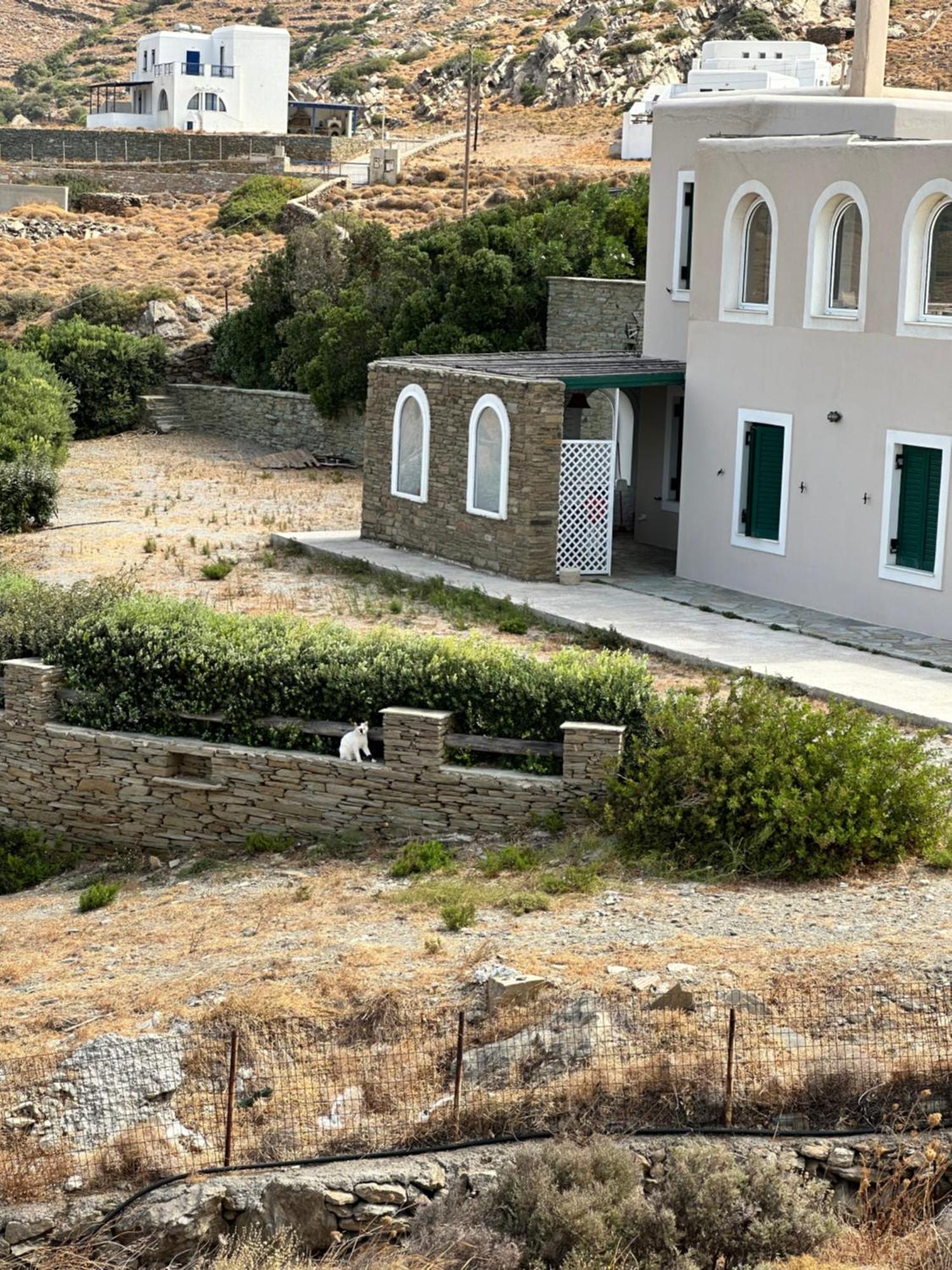 Andros Eco Home Gavrio Bagian luar foto